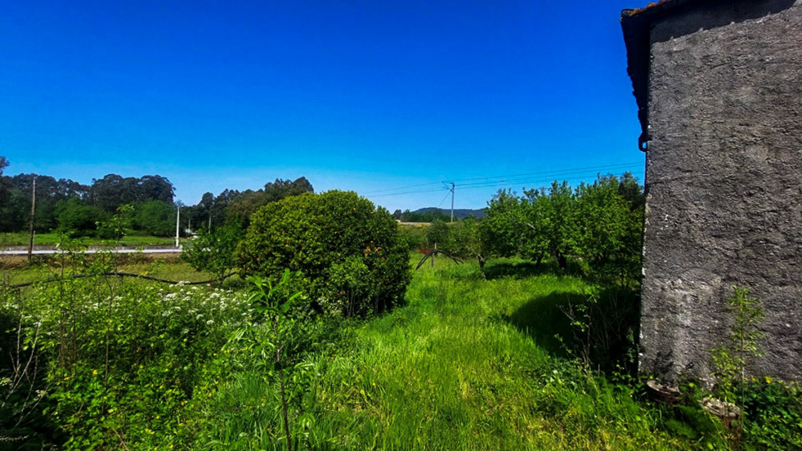 2-20260409-114233jpg