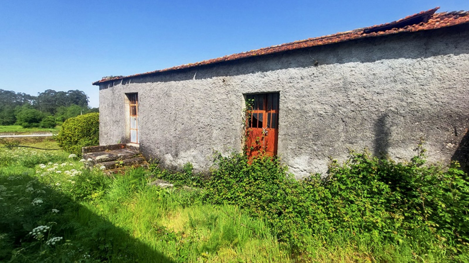 1-20260409-114301jpg