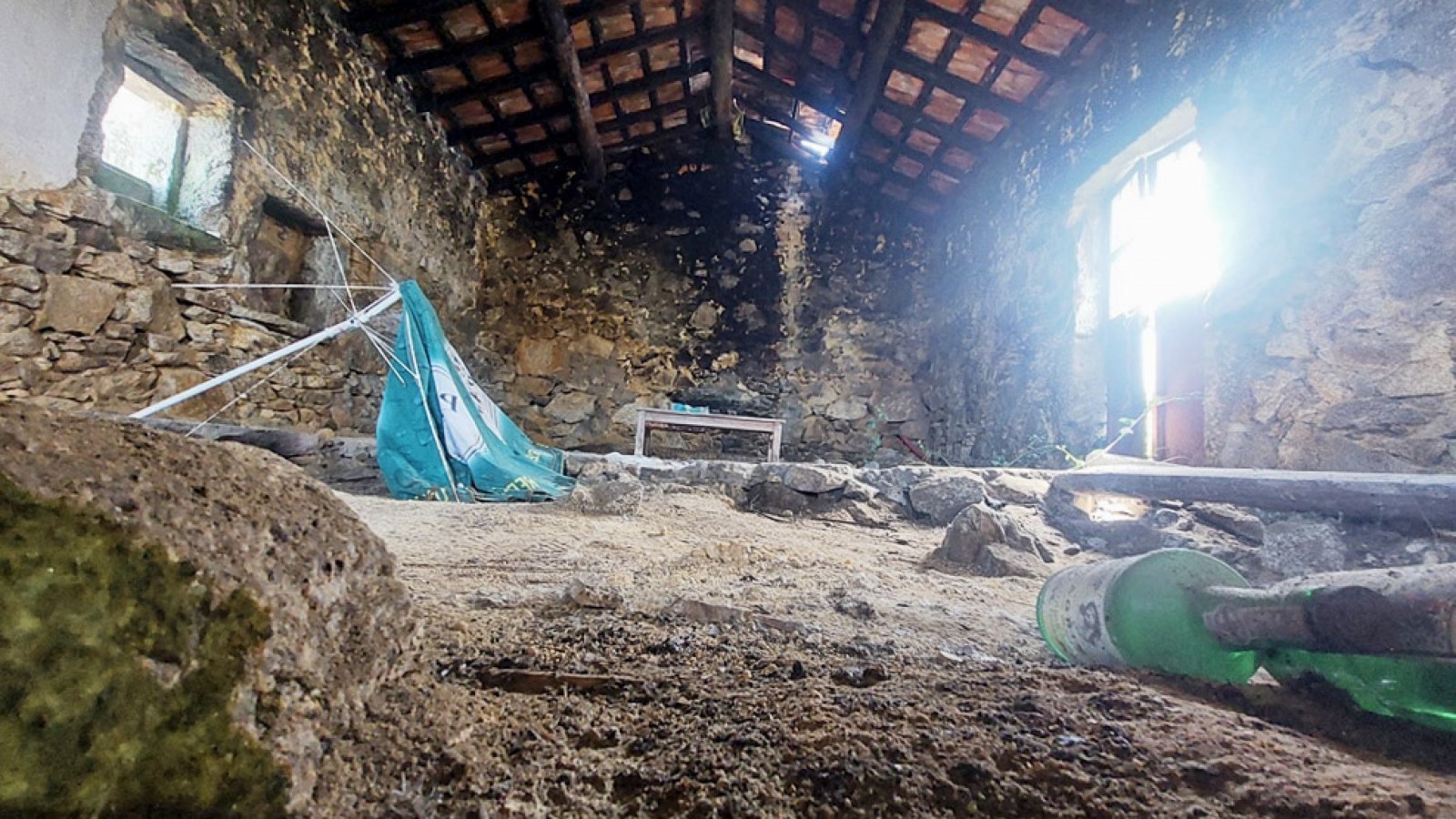 5-20260409-113939jpg