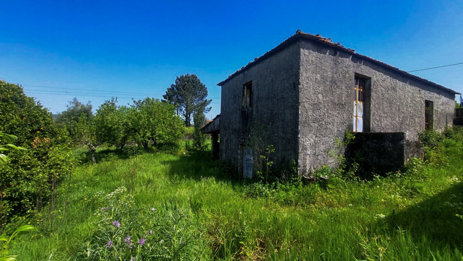 4-20260409-114154jpg