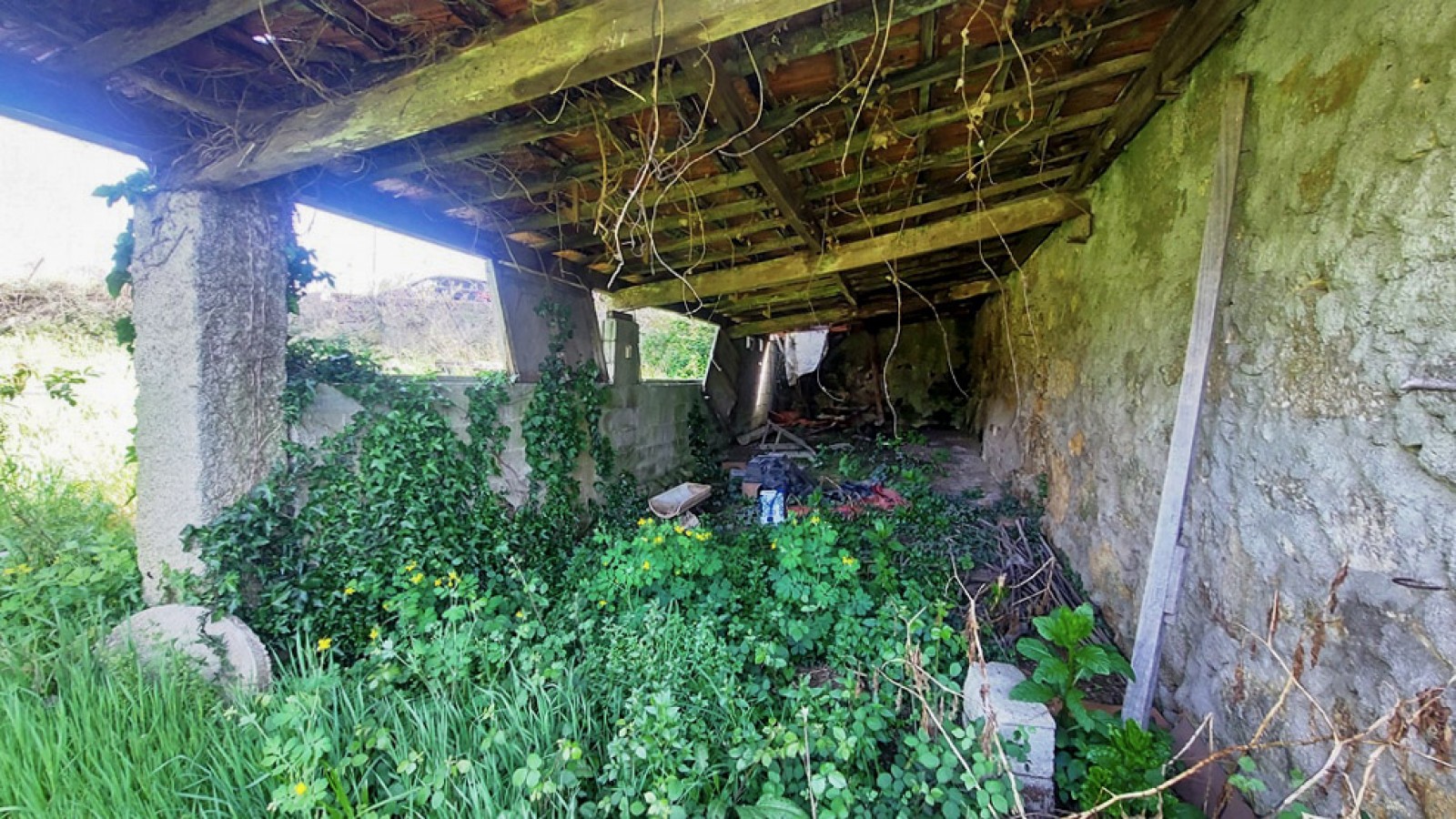 8-20260409-113736jpg