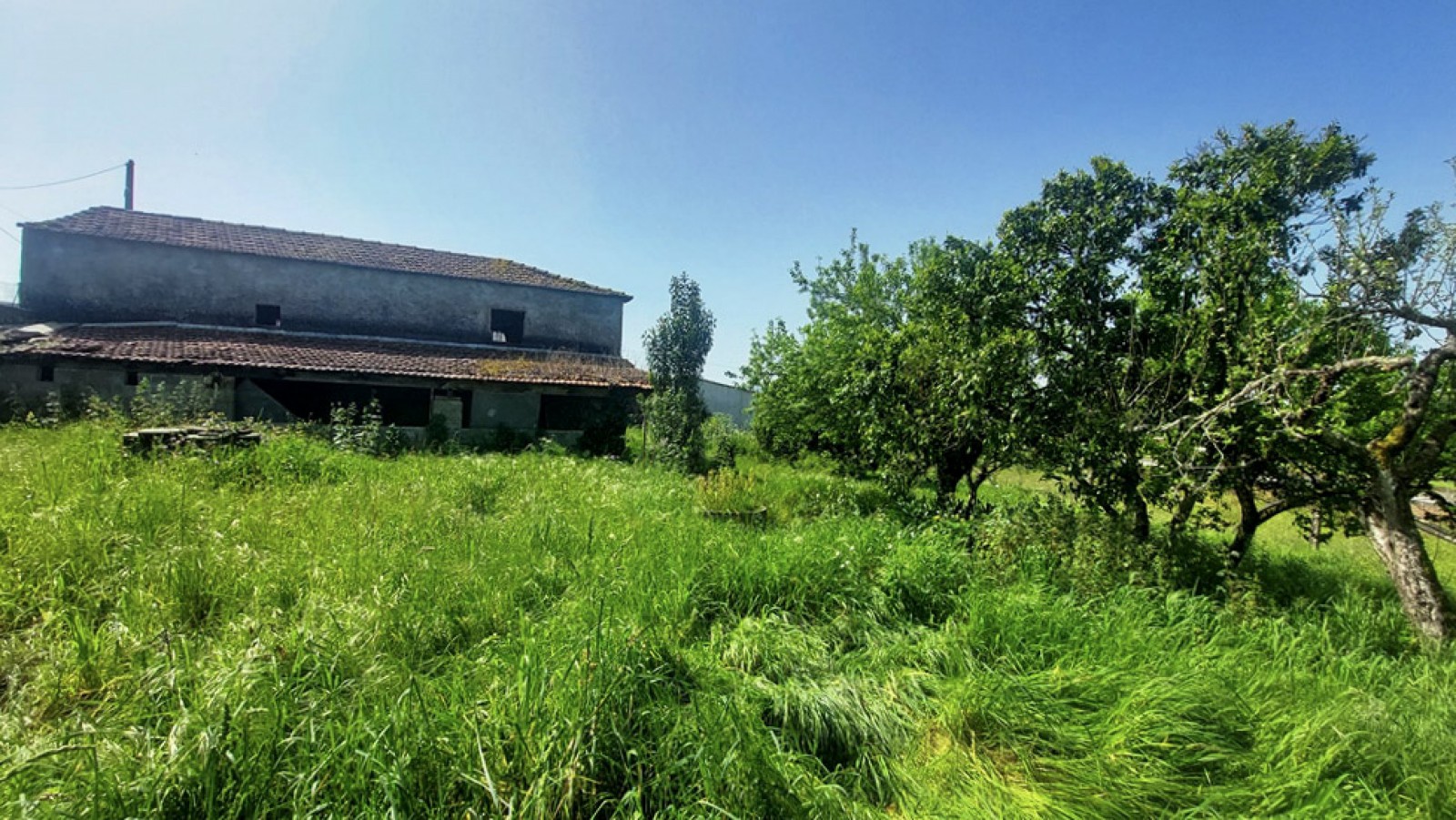 10-20260409-113626jpg