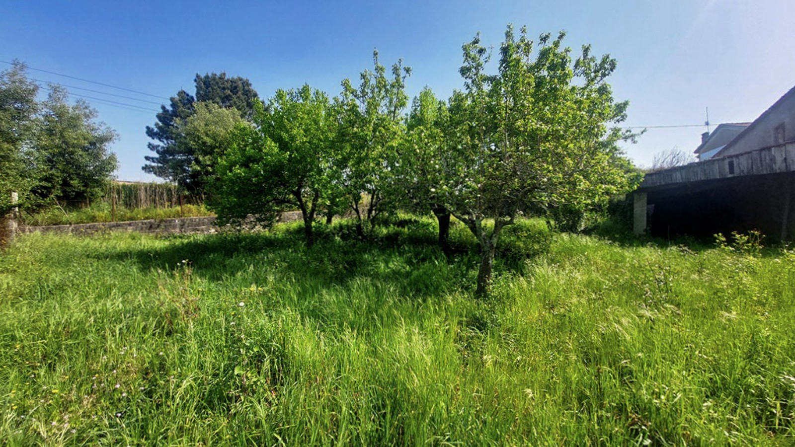 11-20260409-113207jpg