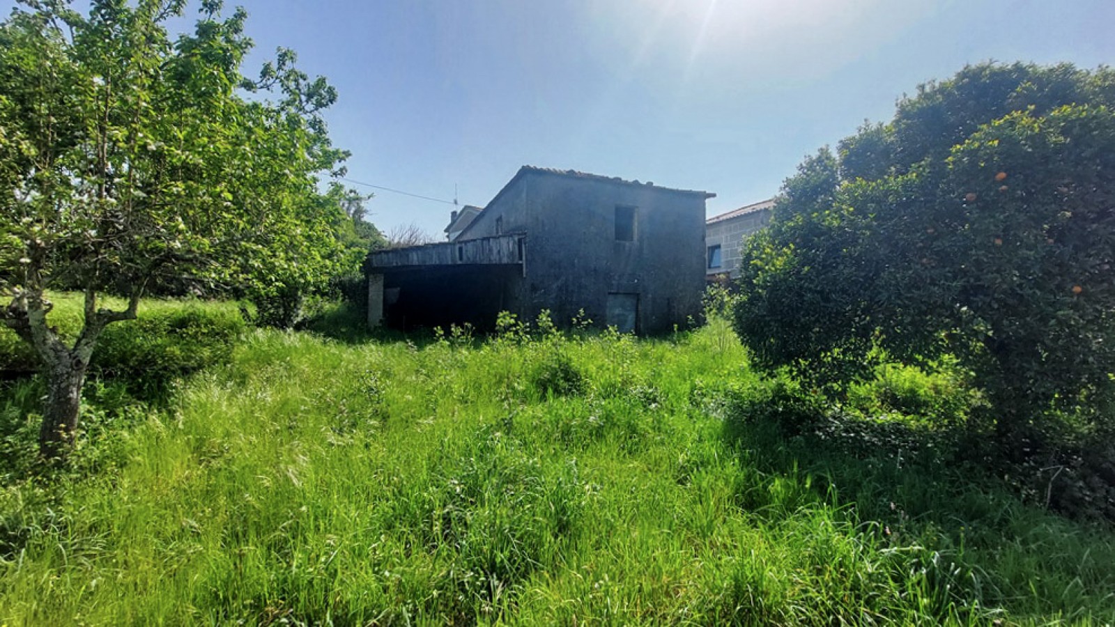 12-20260409-113200jpg