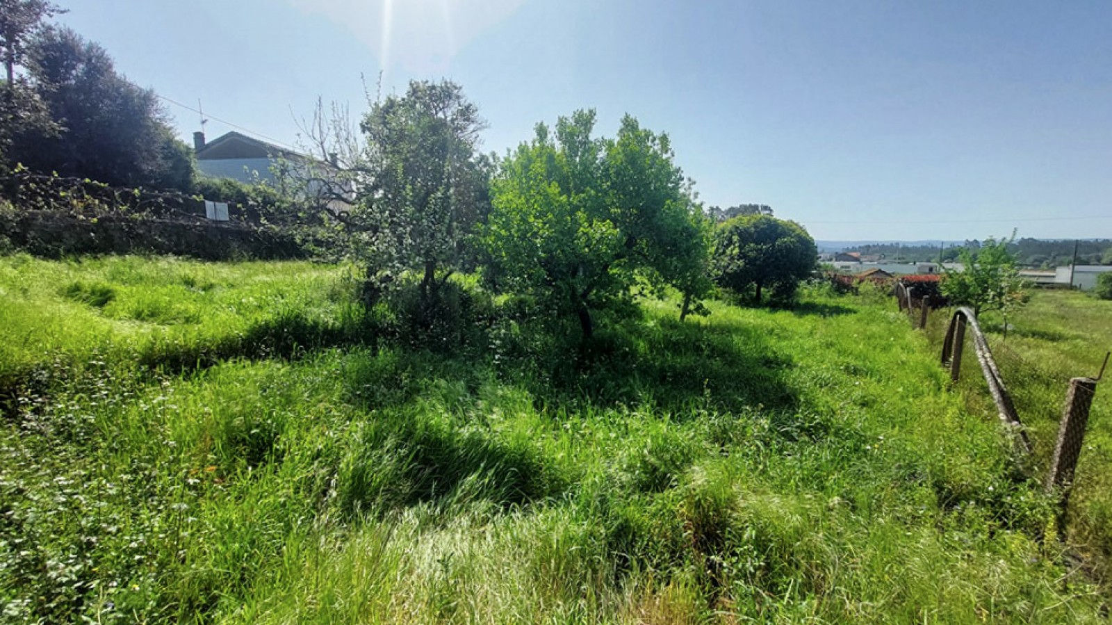 13-20260409-112841jpg