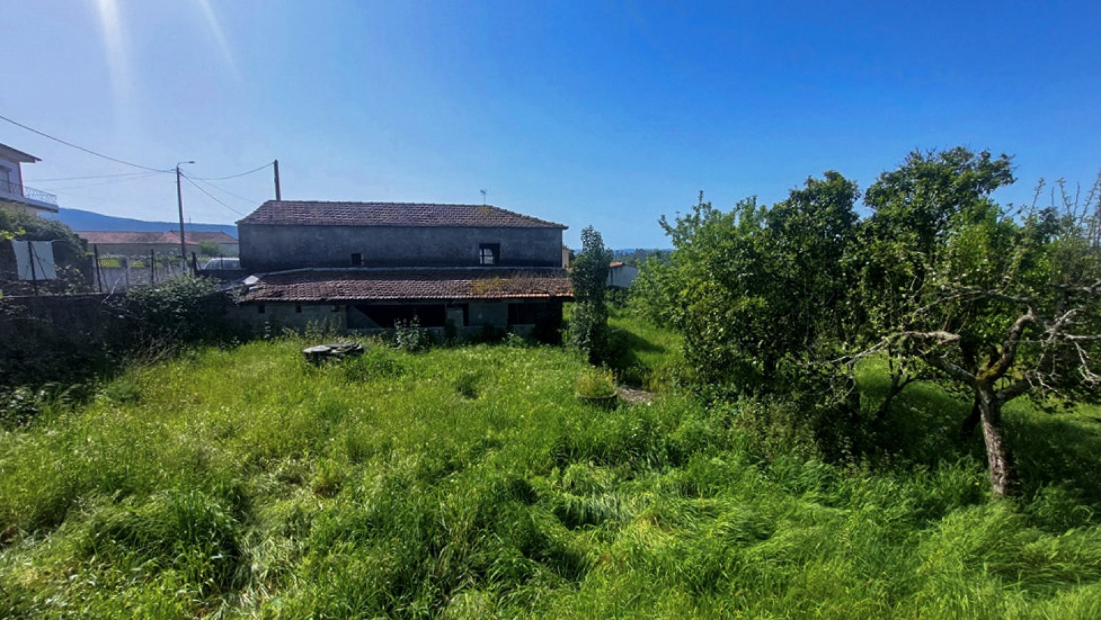 14-20260409-112758jpg