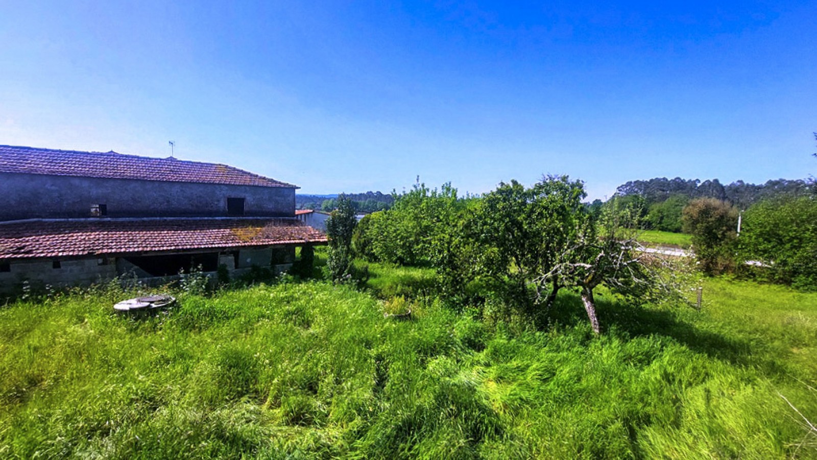 16-20260409-112604jpg