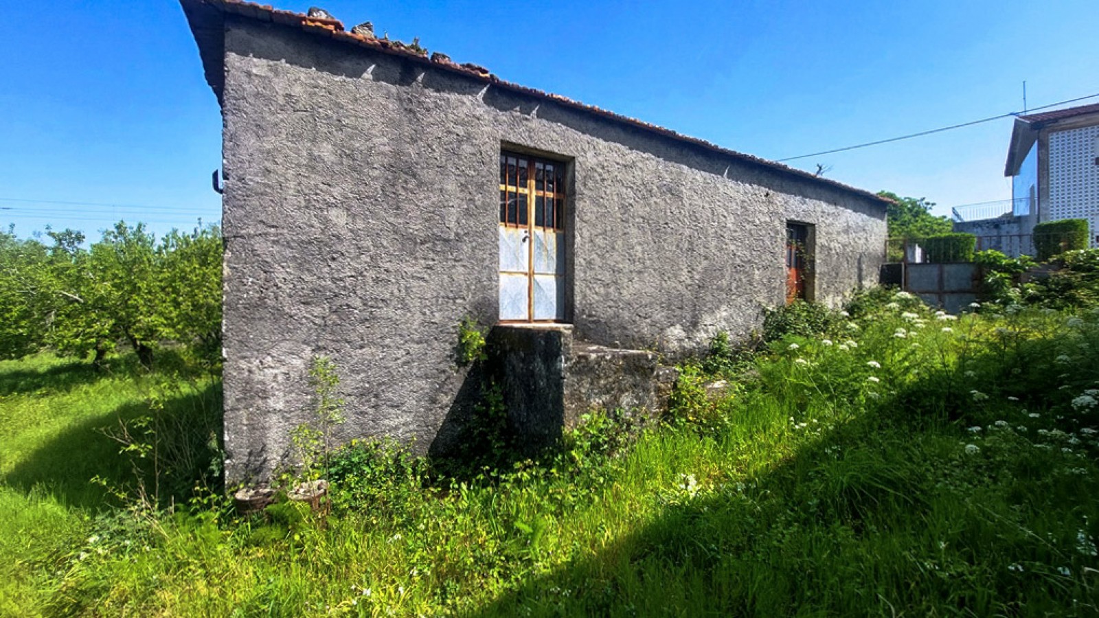 3-20260409-114228jpg