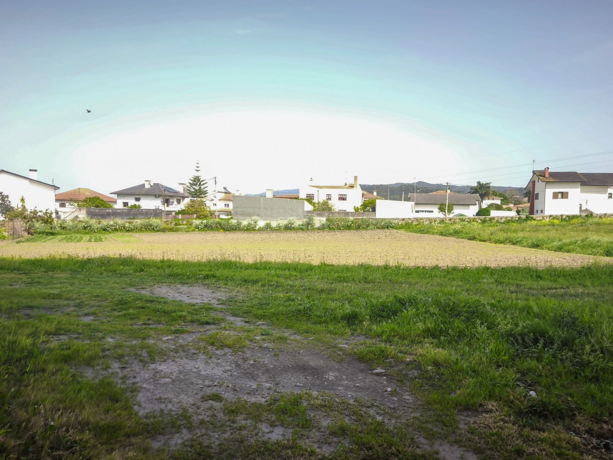 1-img-20260409-161252jpg