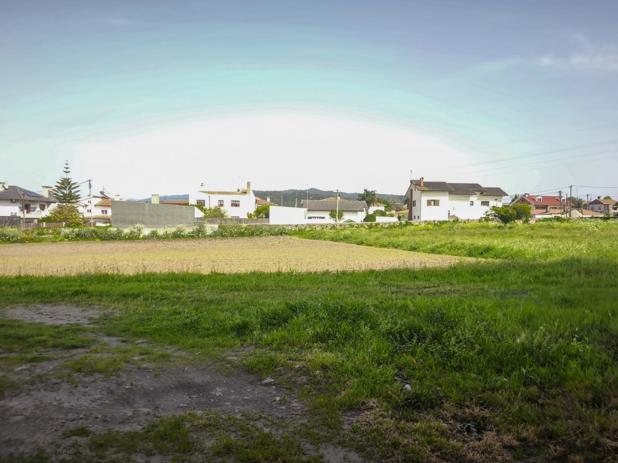 2-img-20260409-161251jpg