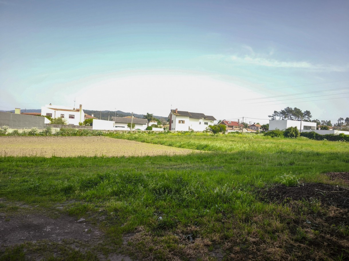 3-img-20260409-161247jpg