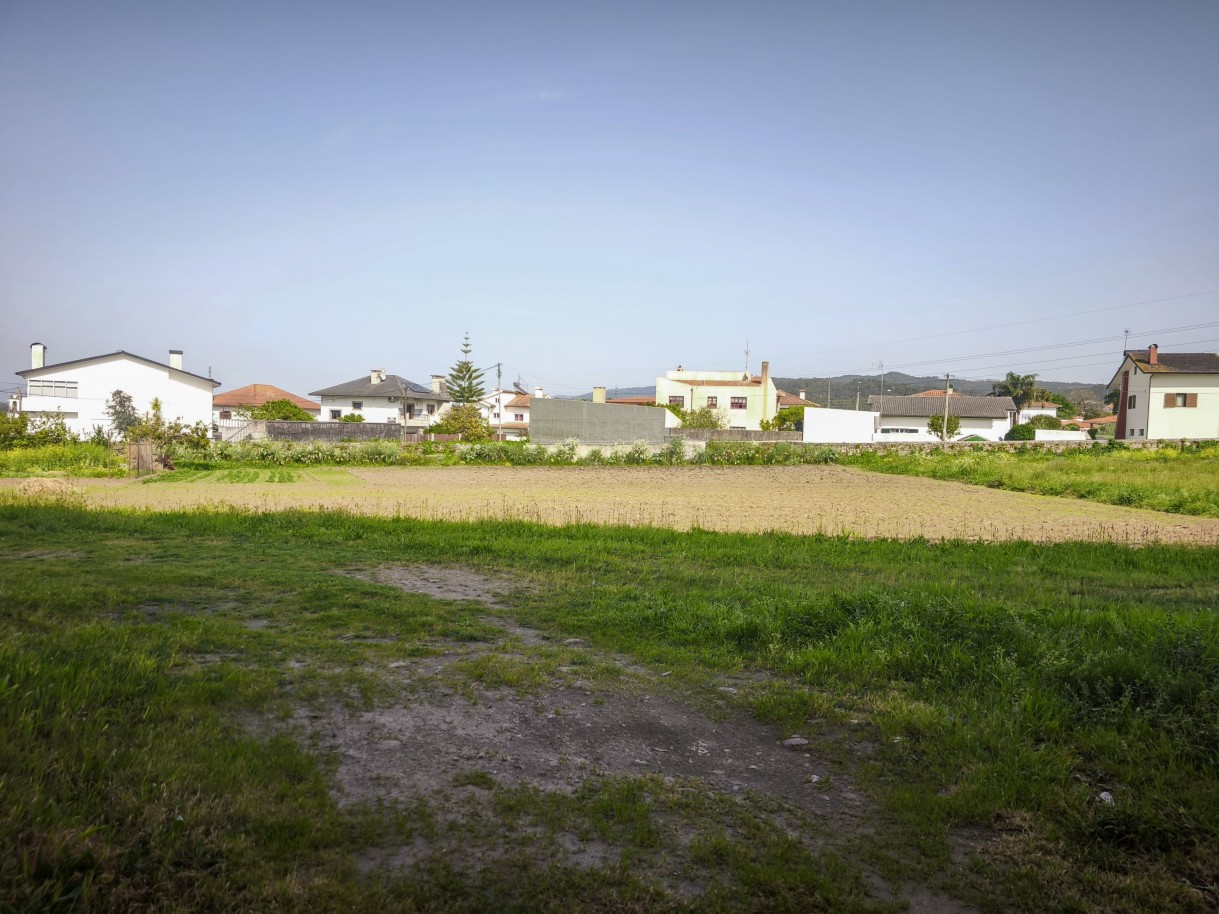 4-img-20260409-161241jpg