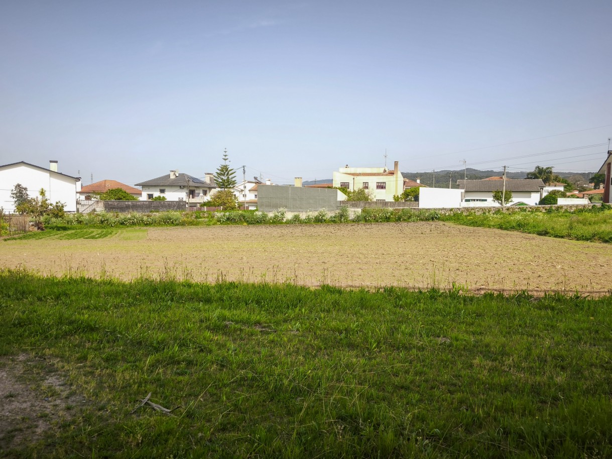 6-img-20260409-161213jpg