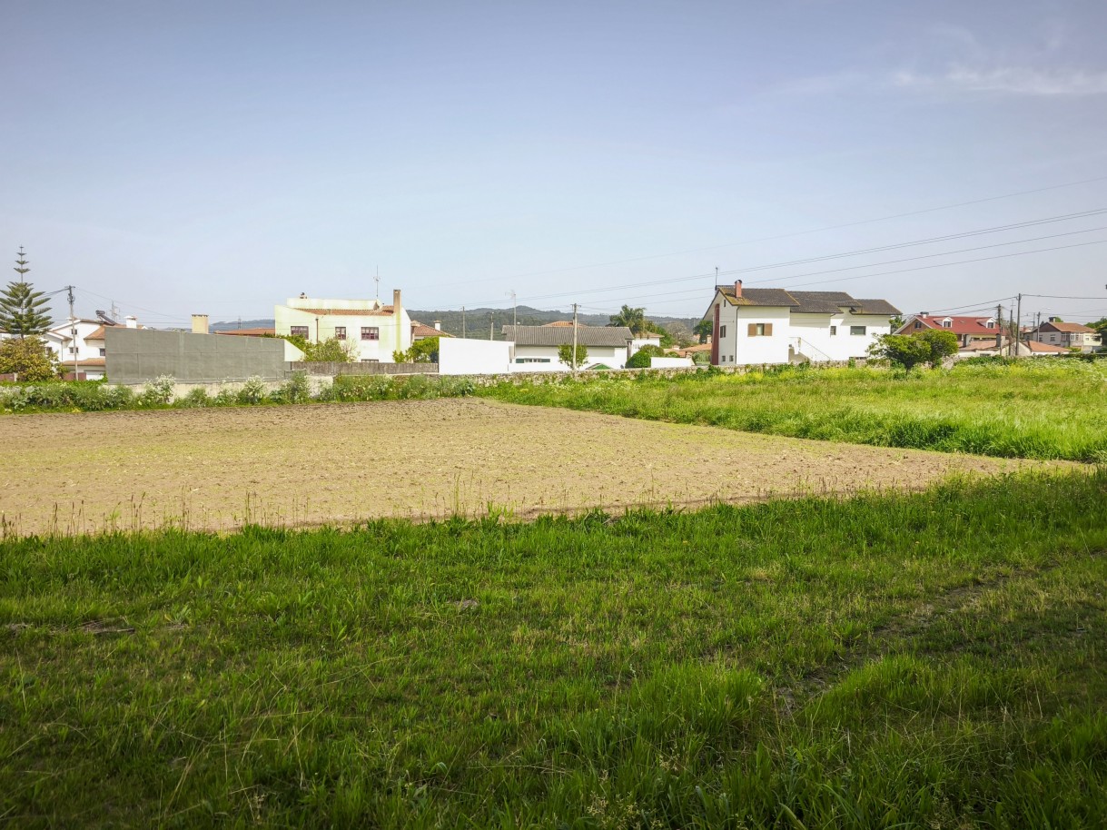 7-img-20260409-161212jpg