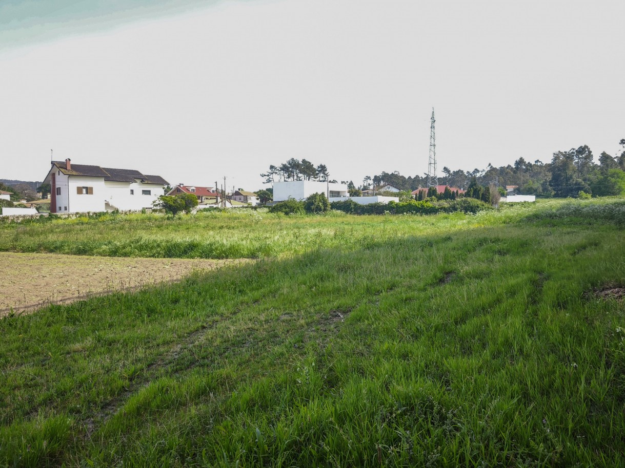 10-img-20260409-161206jpg