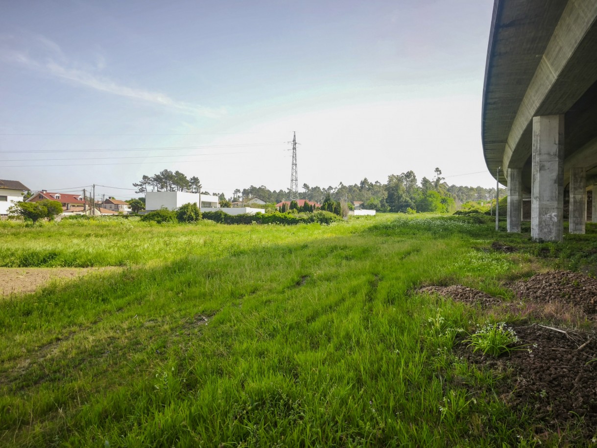 11-img-20260409-161202jpg