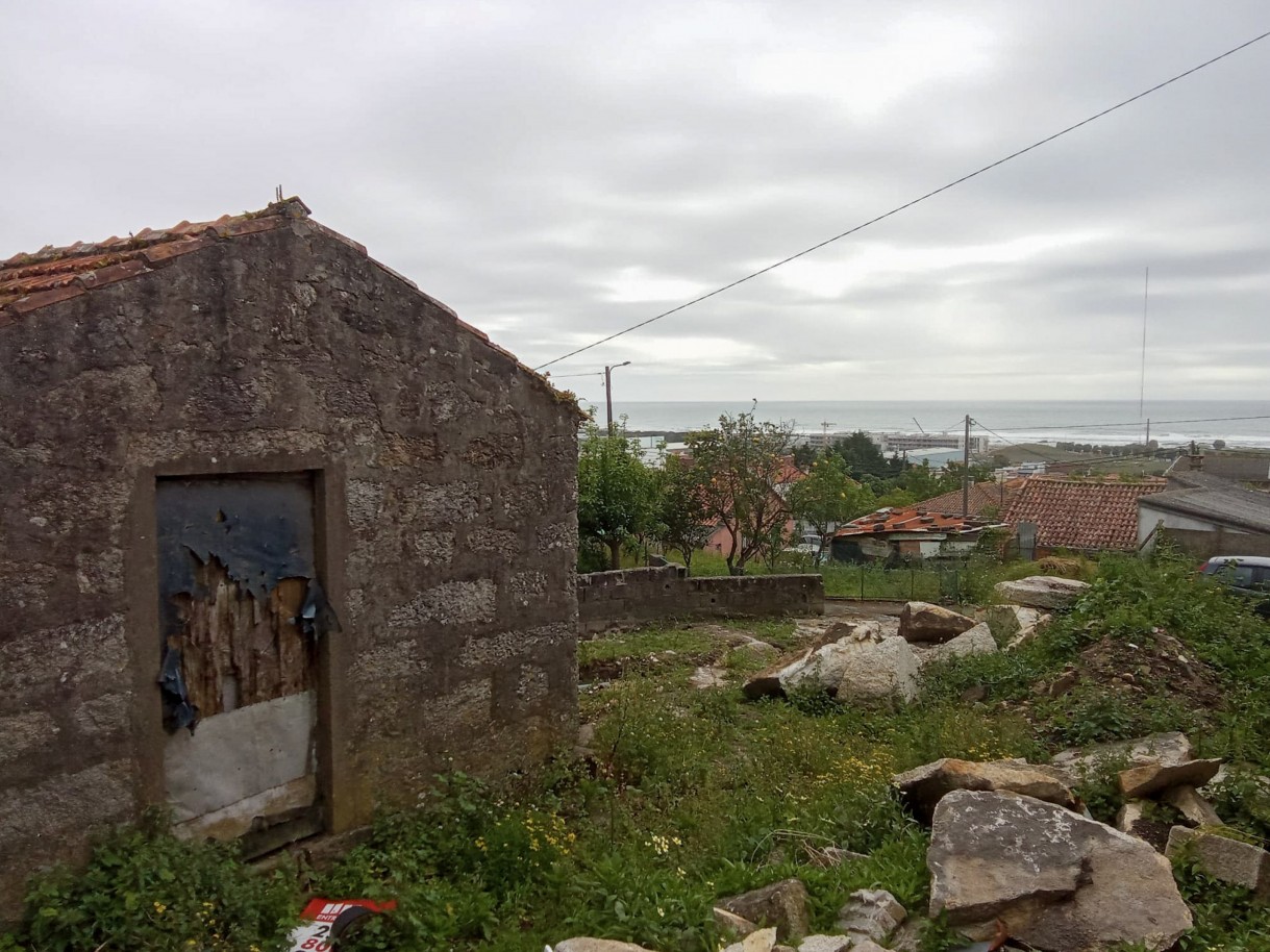 1-86059d65-7ed3-4000-bf86-d43e155e8d37jpg