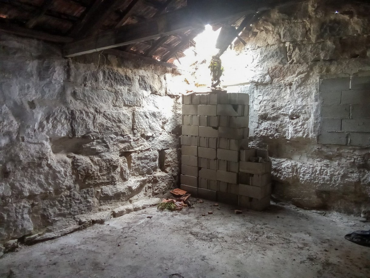 6-8ab12feb-a34e-4755-bdba-ad506ad2f1a5jpg