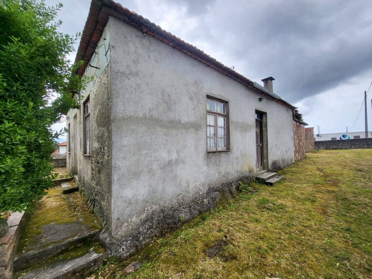 2-whatsapp-image-2026-04-17-at-17jpg