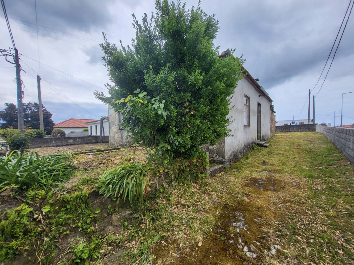 3-whatsapp-image-2026-04-17-at-17jpg