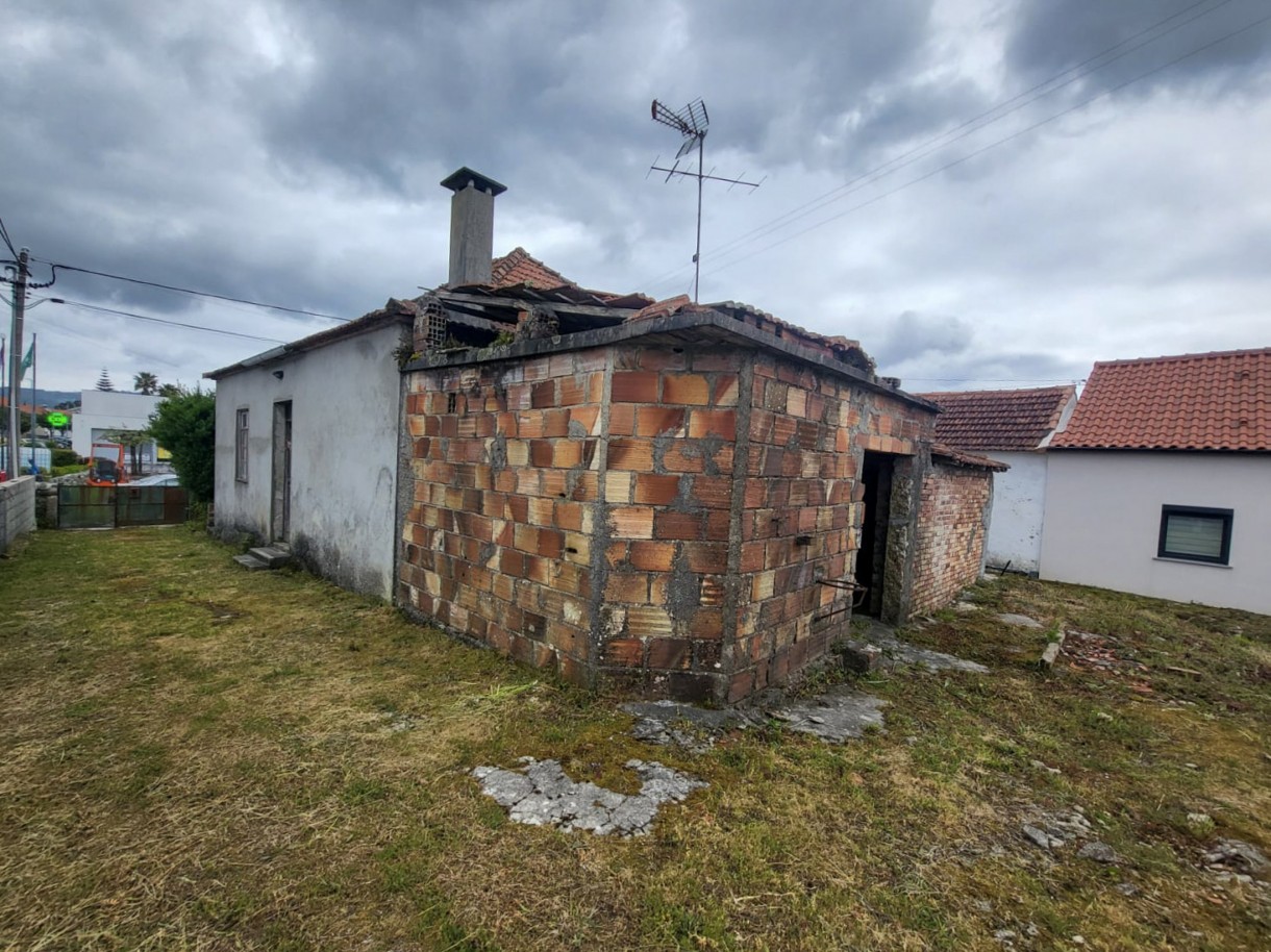 6-whatsapp-image-2026-04-17-at-17jpg