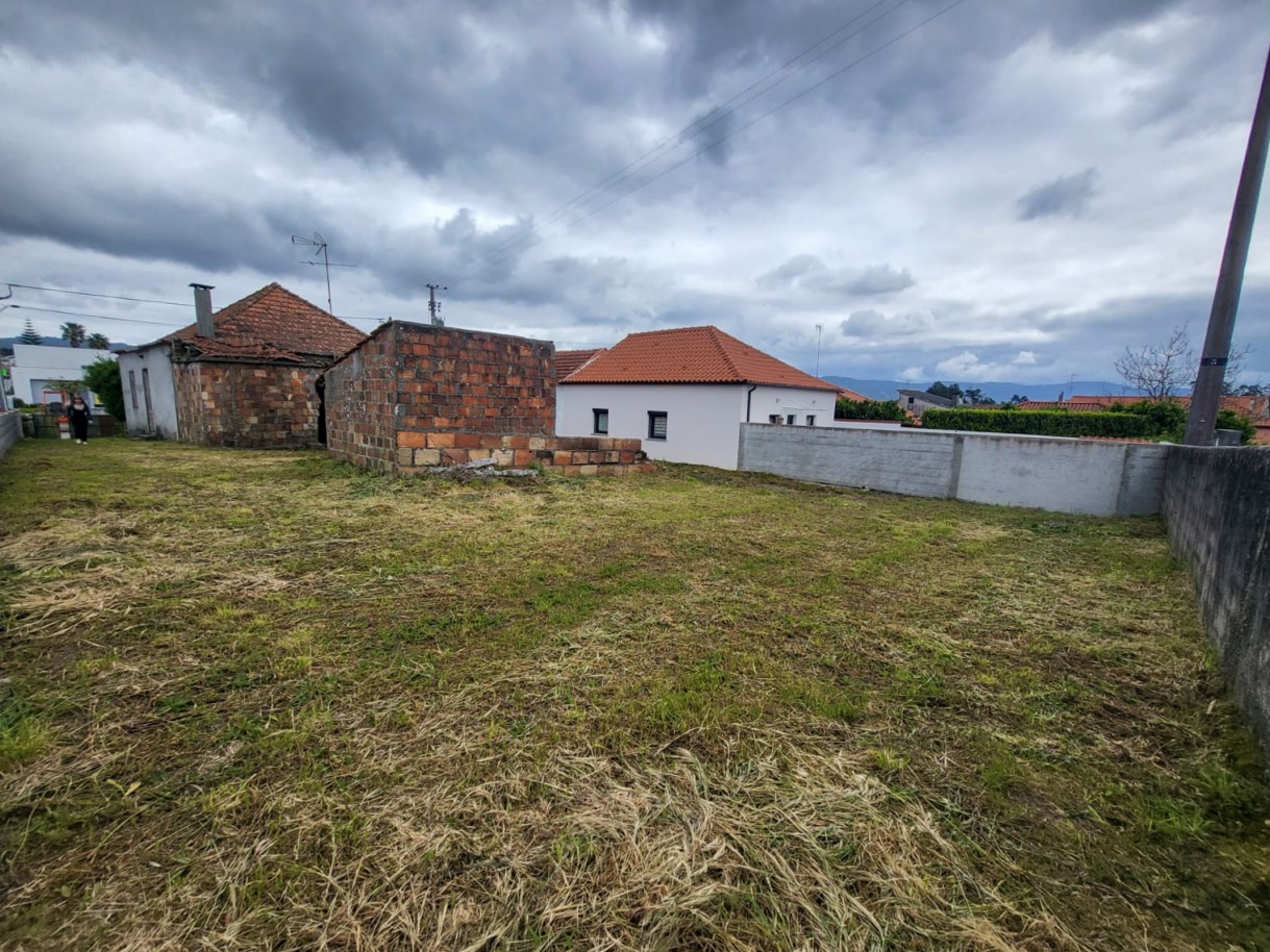 19-whatsapp-image-2026-04-17-at-17jpg