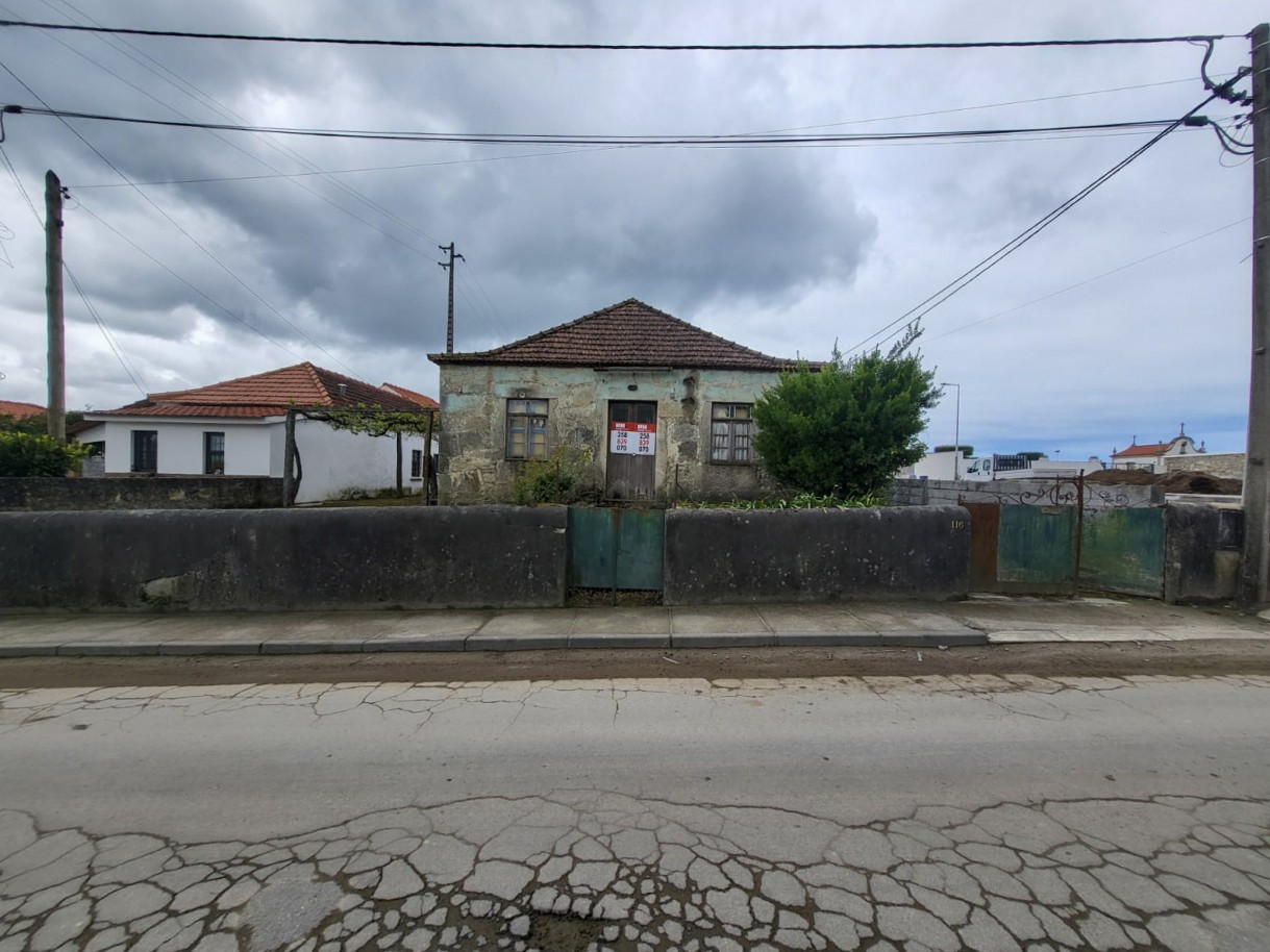 20-whatsapp-image-2026-04-17-at-17jpg