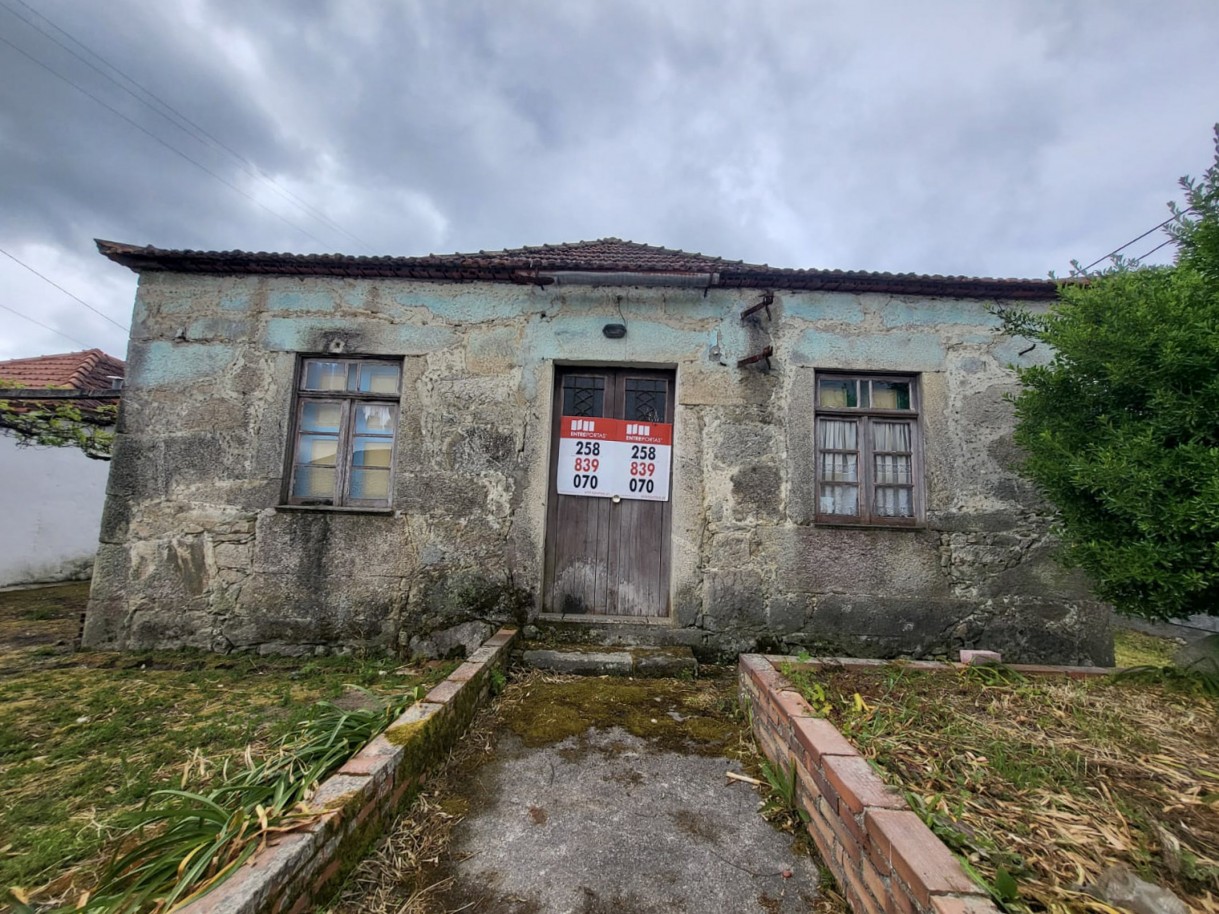 22-whatsapp-image-2026-04-17-at-17jpg