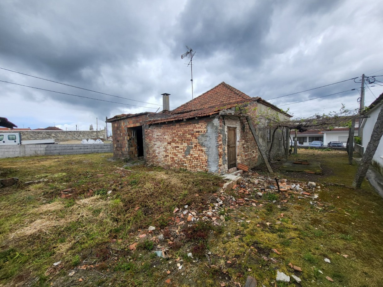 21-whatsapp-image-2026-04-17-at-17jpg