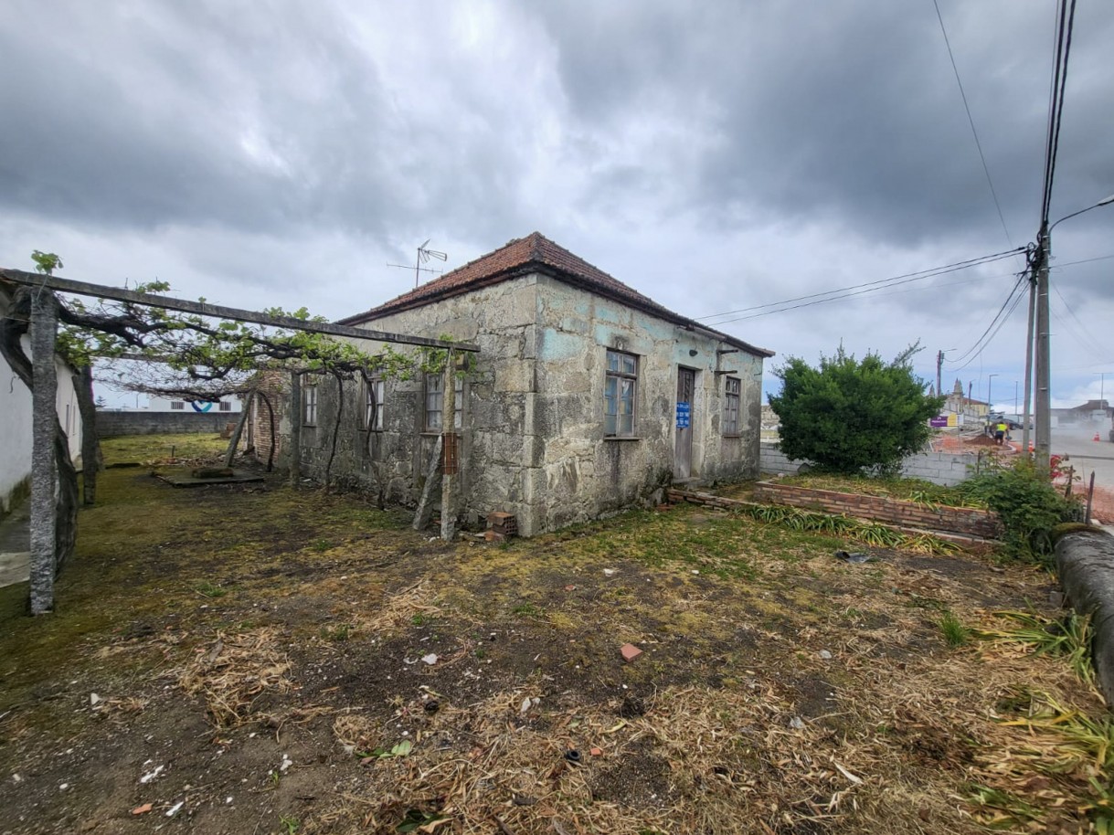 23-whatsapp-image-2026-04-17-at-17jpg