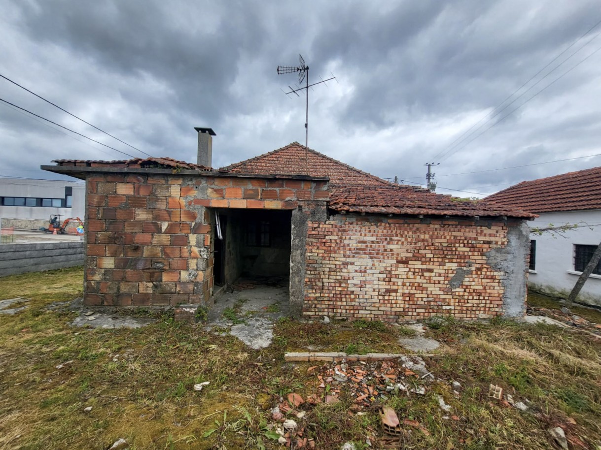 24-whatsapp-image-2026-04-17-at-17jpg