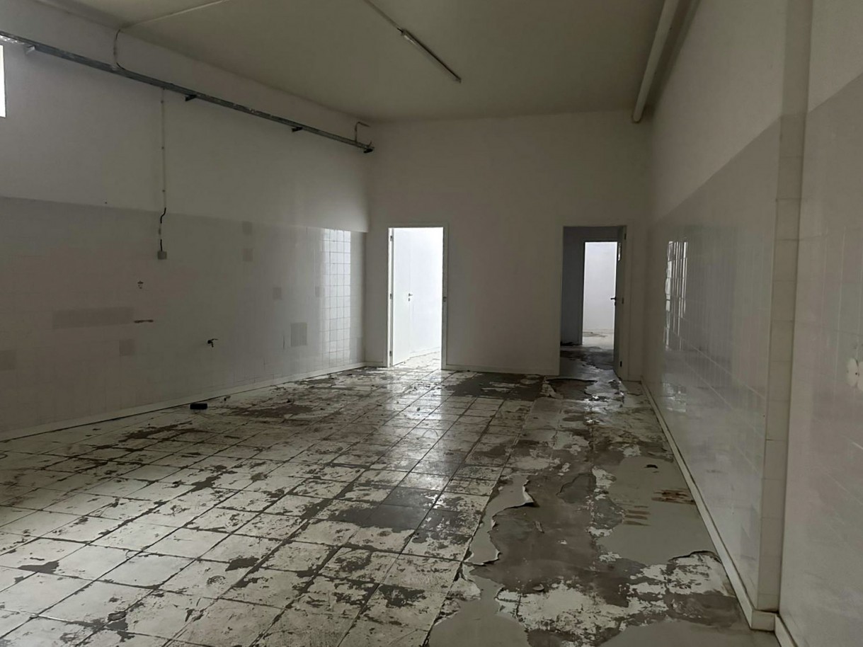 14-whatsapp-image-2026-04-15-at-17jpg