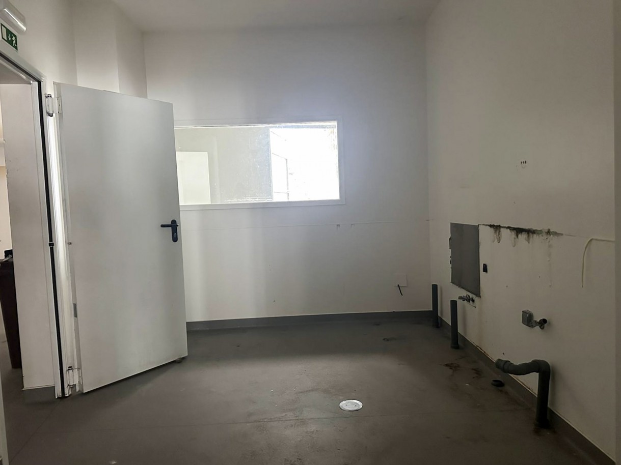 22-whatsapp-image-2026-04-15-at-17jpg