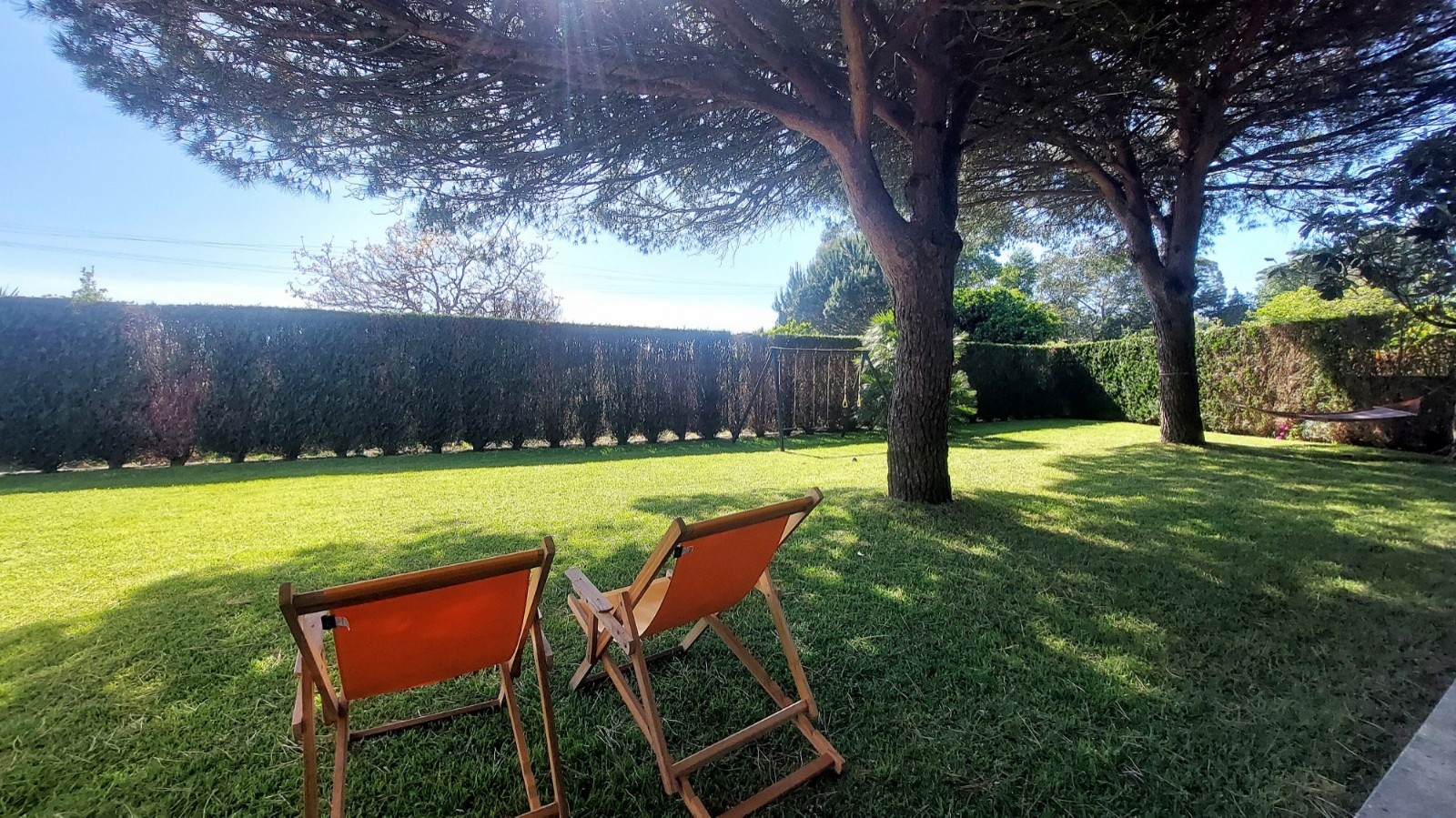 154174db-44d5-460a-bbd0-7d3840c5ac58jpeg