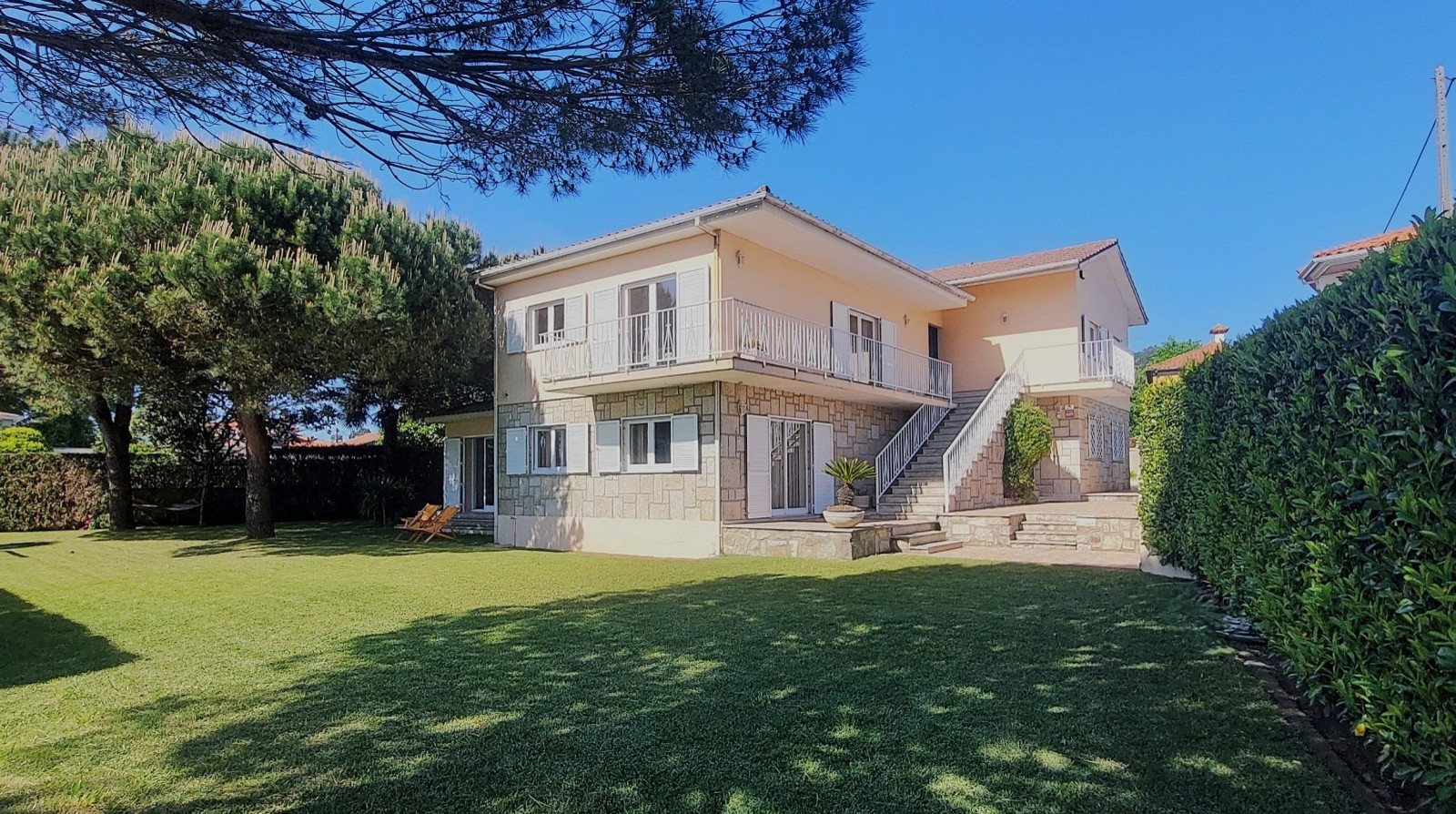 b1a17dfe-4854-4fb1-bba6-563ed6b5050fjpeg