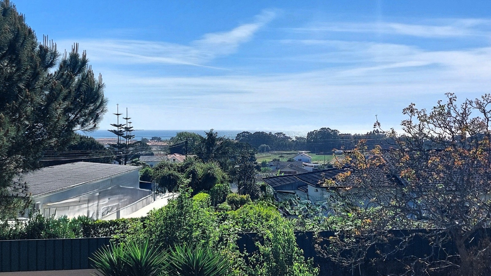 dde9fbb5-6b21-48b9-a1ac-4e2b04592264jpeg