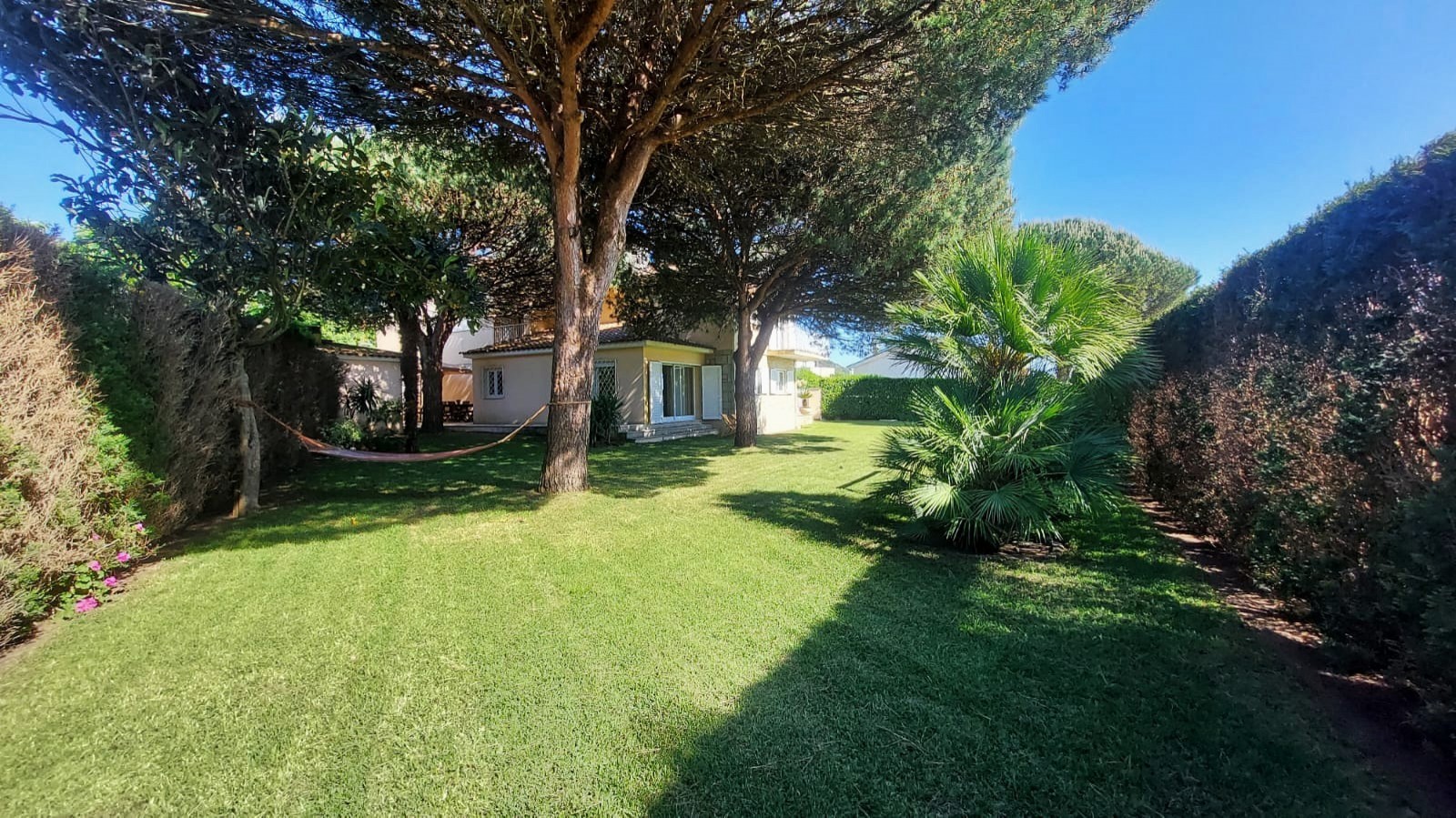 f4d76947-f92e-4731-90cc-d6eefcaac600jpeg