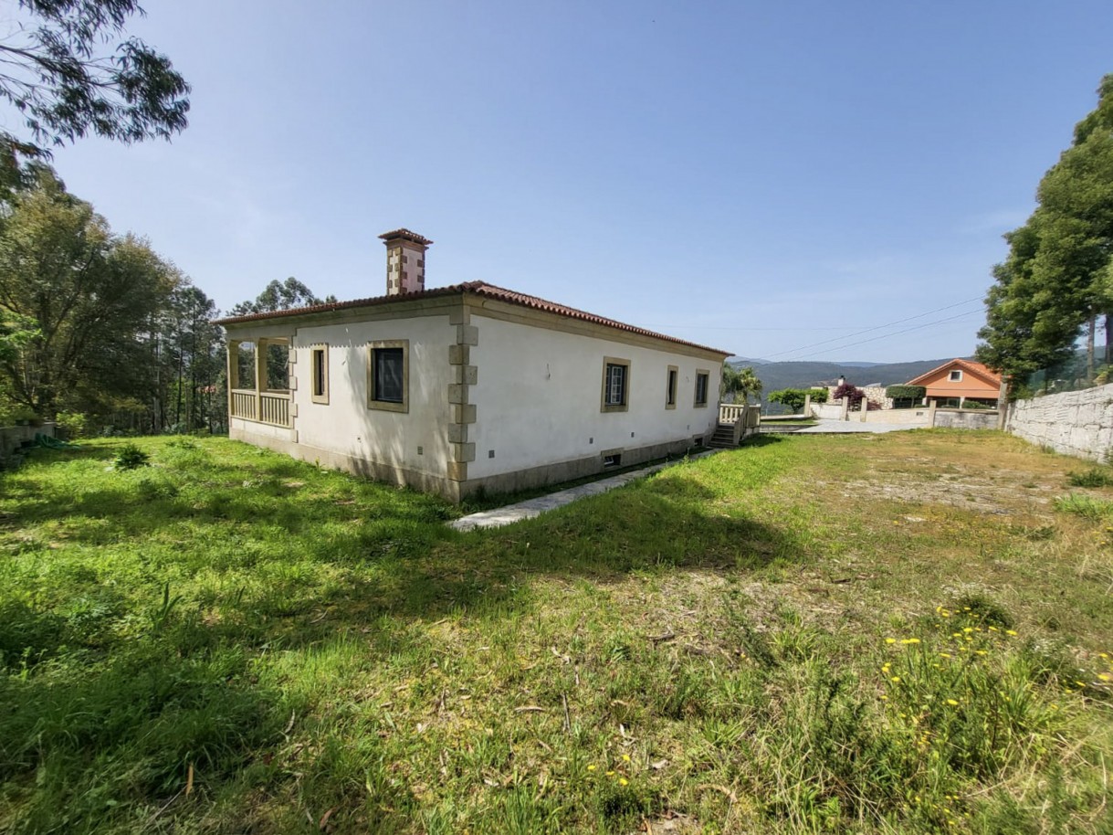 2-eafac826-320b-4313-9ff3-3b95df5338f8jpg