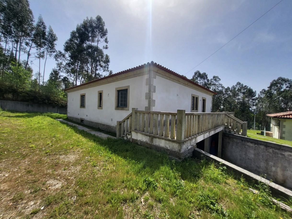 7-c1a76752-0e4d-43df-a2fc-5df295e40501jpg