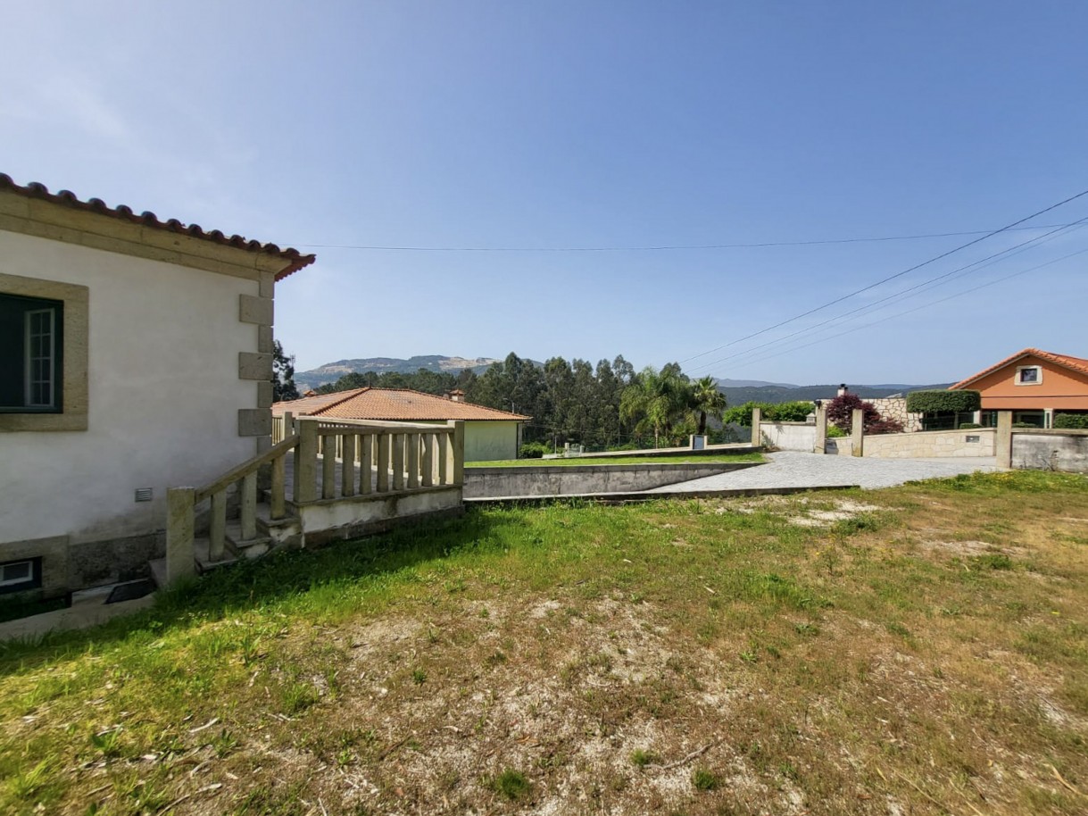 13-510e8884-9e6f-420f-87c9-03f6b668b1e9jpg