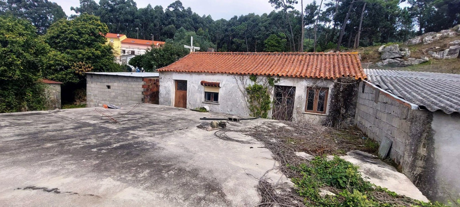 5-ff23c980-f266-43a3-8873-751a3e111d99jpg