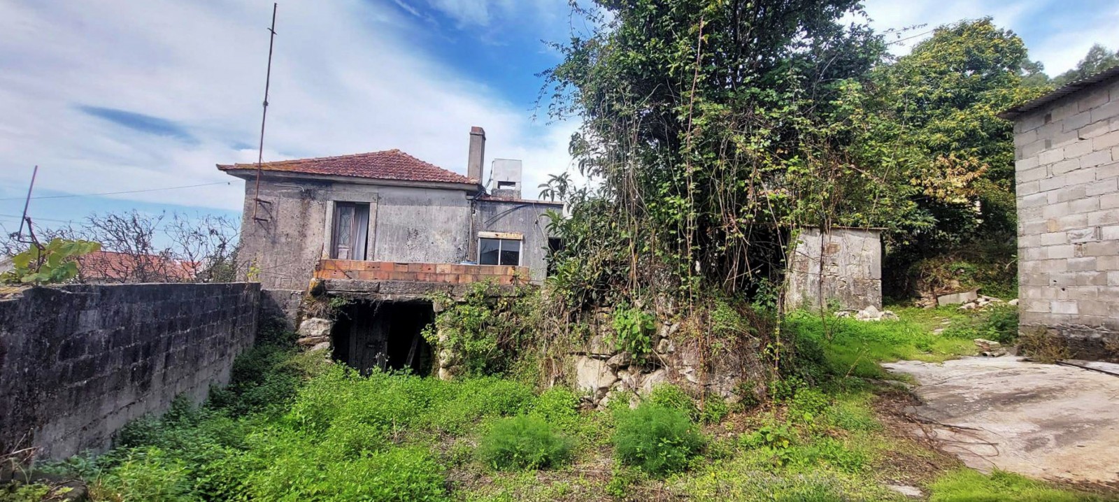 7-d791f288-da76-49ef-81f6-08db0c4426f9jpg