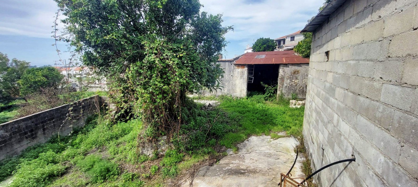 6-88e61b4e-c9c1-4041-af04-d71b96f33a73jpg