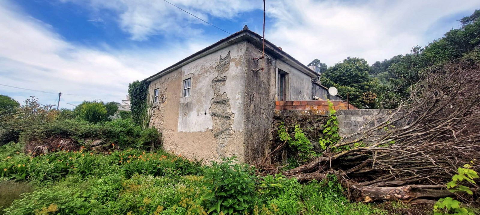 2-dd33a12b-a586-4abb-a358-1f7bf1ad7bddjpg