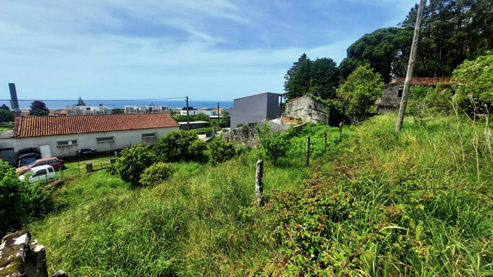 7-20260423-134807jpg