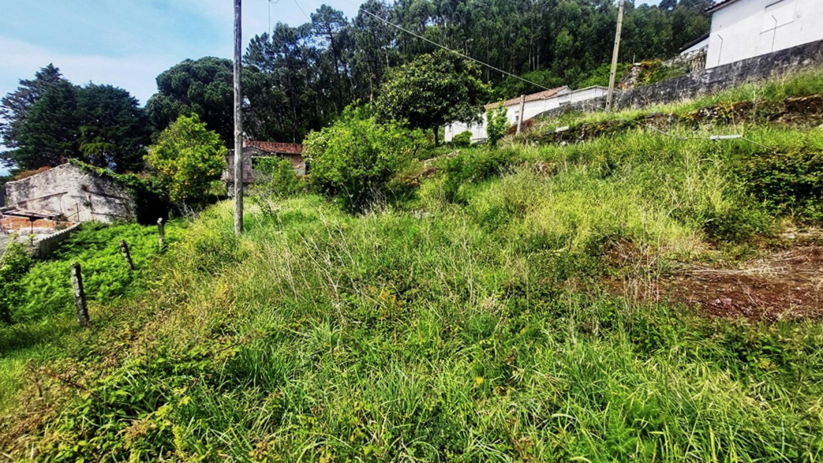 8-20260423-134801jpg