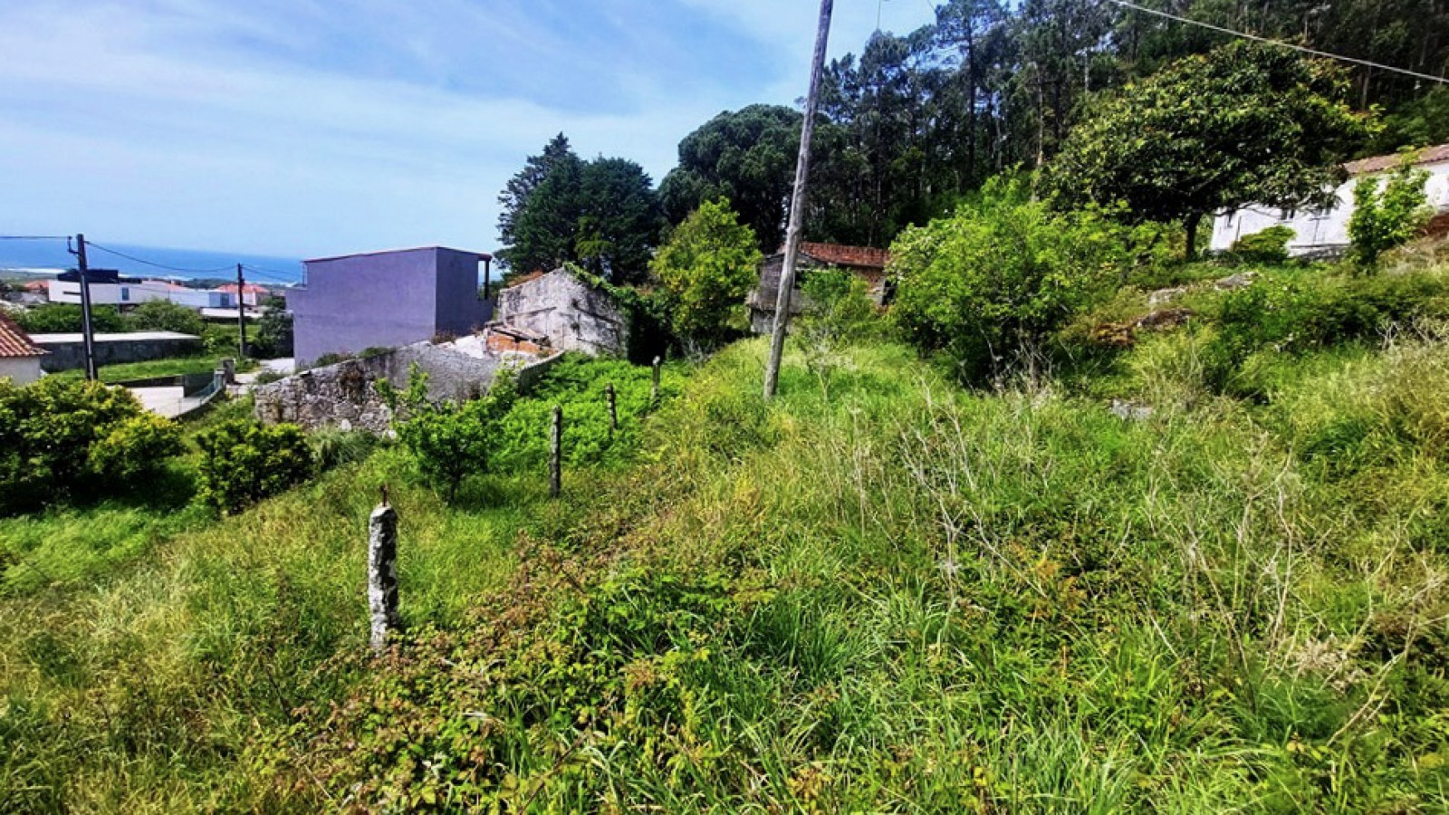 9-20260423-134754jpg