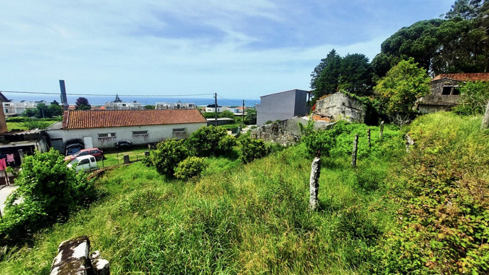 6-20260423-134908jpg