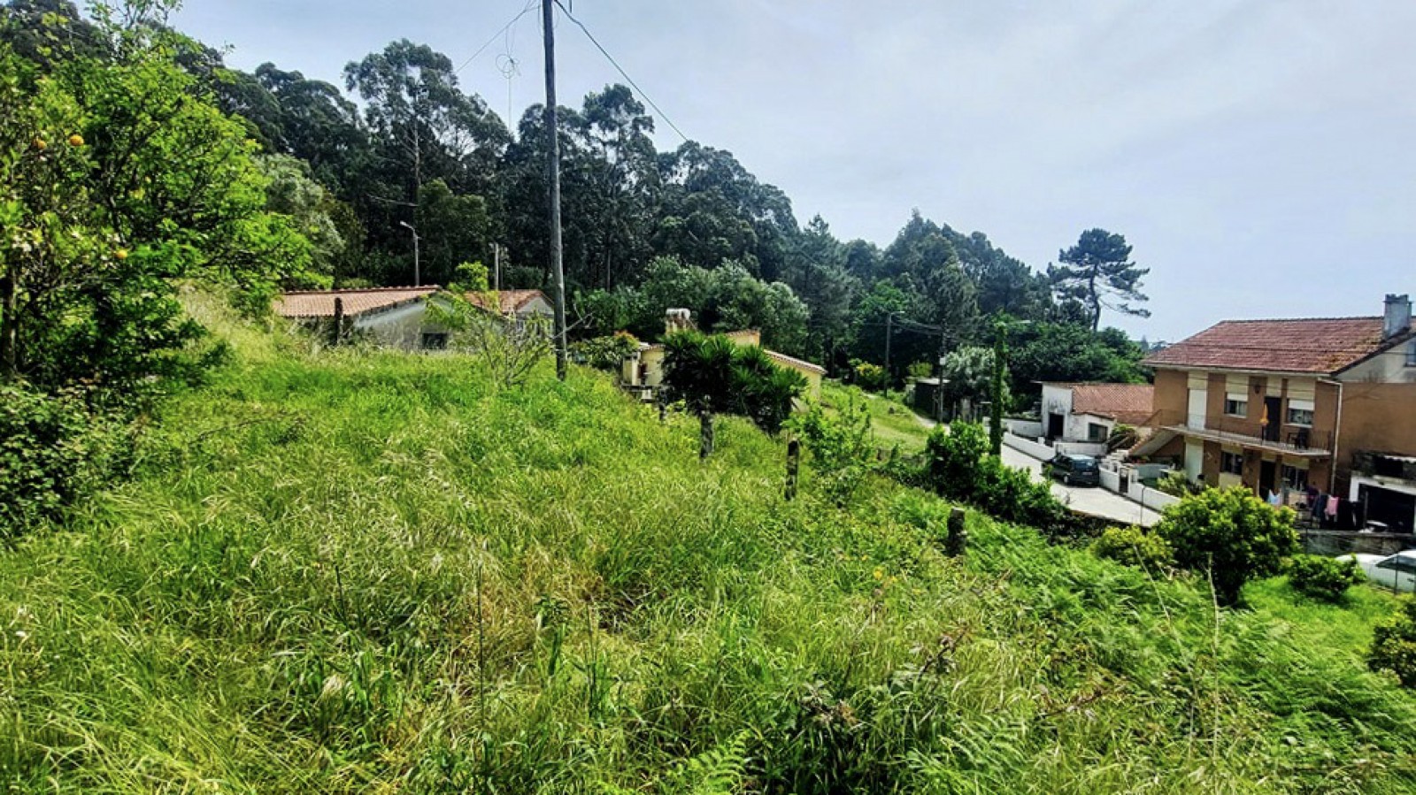 10-20260423-134658jpg