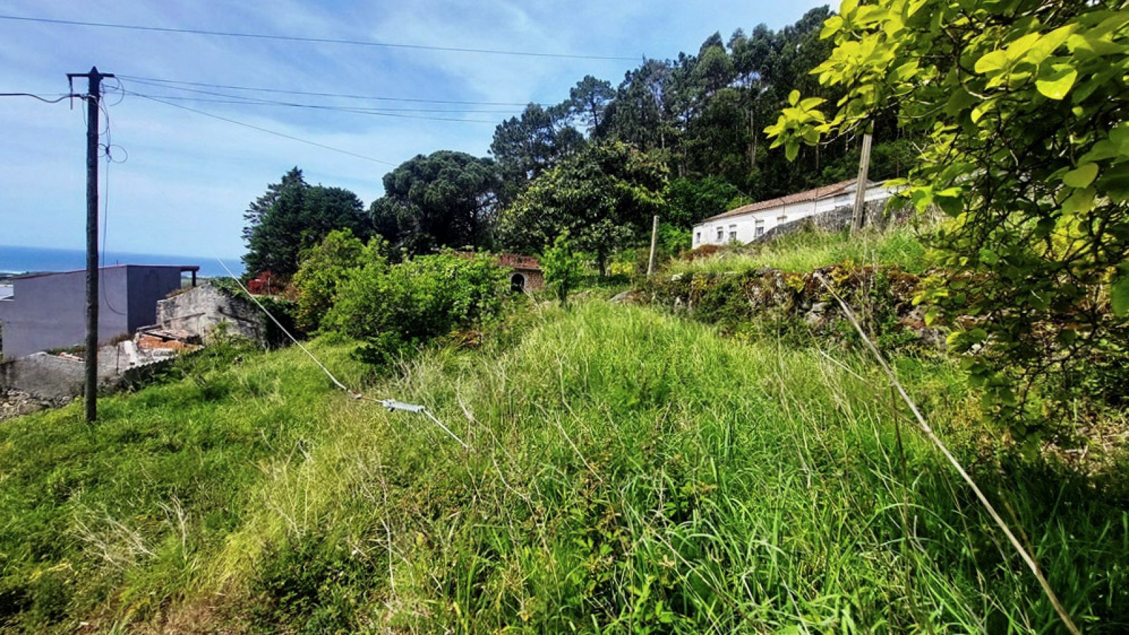 11-20260423-134535jpg